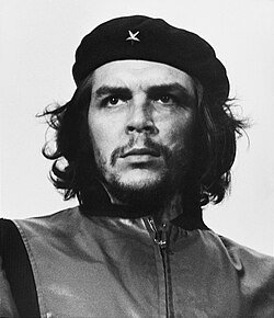 Che Guevara biography revolutionary life and political journey